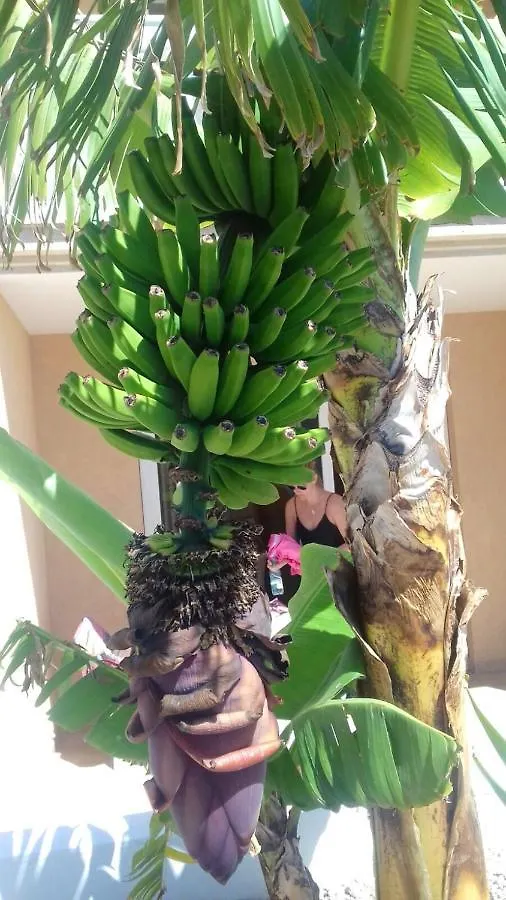 Bright Studio With Sea View In Costa Del Silencio 45 M² Pool 公寓