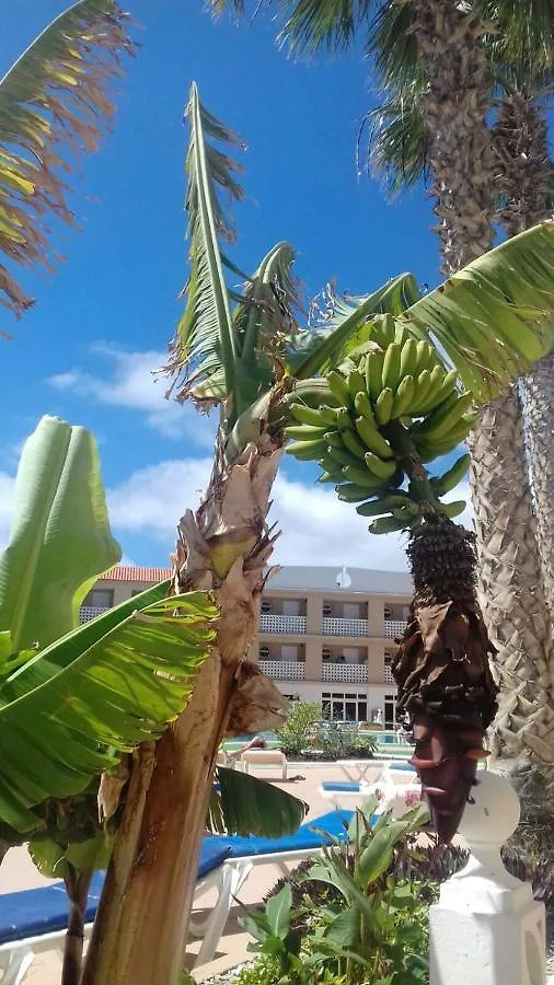 Bright Studio With Sea View In Costa Del Silencio 45 M² Pool 0*,  西班牙