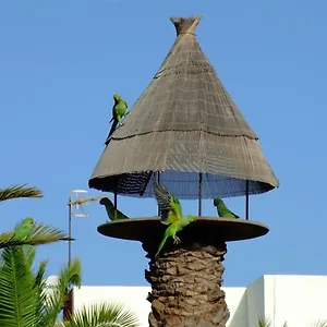 Apartamento La Kasita In Primavera, Costa del Silencio